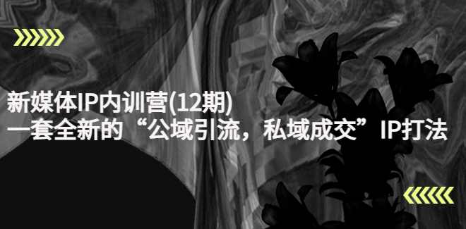 新媒体IP内训营(12期)
