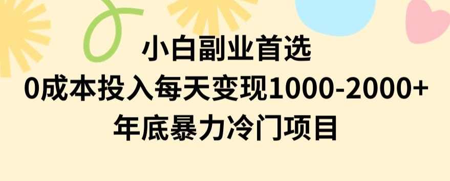 小白副业首选,0成本投入,每天变现1000-2000年底暴力冷门项目【揭秘】,副业,第1张 小白副业首选,0成本投入,每天变现1000-2000年底暴力冷门项目【揭秘】,副业,第1张