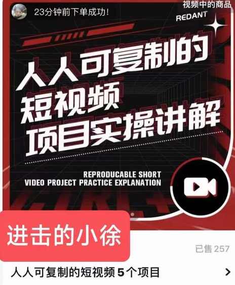 进击的小徐·人人可复制的短视频5个项目，实操讲解年销售额八位数级别项目