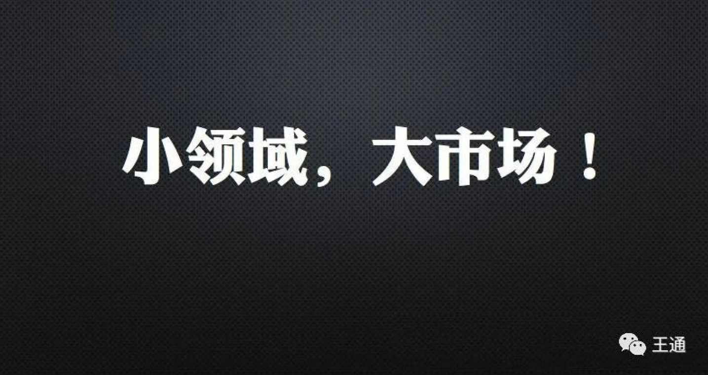 细分领域赚钱课：王通取名技能课