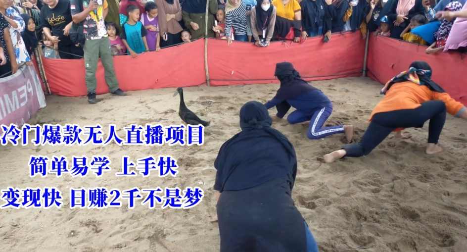 冷门爆款无人直播项目，简单易学上手快，变现快日赚2千不是梦【揭秘】
