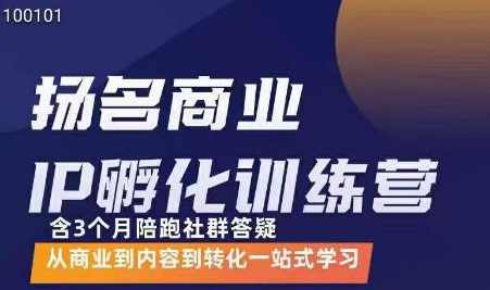 王扬名·商业IP孵化训练营，从商业到内容到转化一站式学习