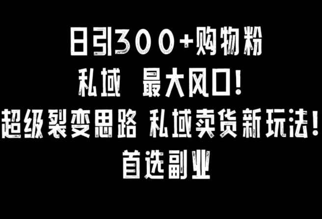 日引300+购物粉,超级裂变思路,私域卖货新玩法,小红书首选副业【揭秘】,课程,微信,副业,第1张 日引300+购物粉,超级裂变思路,私域卖货新玩法,小红书首选副业【揭秘】,课程,微信,副业,第1张
