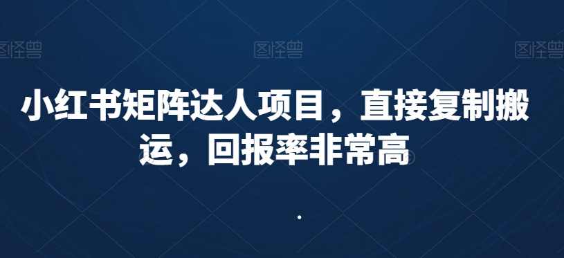 小红书矩阵达人项目,直接复制搬运,回报率非常高,课程,第1张 小红书矩阵达人项目,直接复制搬运,回报率非常高,课程,第1张