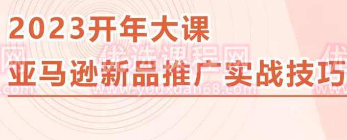 2023亚马逊新品推广实战技巧,线下百万美金课程的精简版,简单粗暴可复制,实操性强的推广手段,课程,第1张 2023亚马逊新品推广实战技巧,线下百万美金课程的精简版,简单粗暴可复制,实操性强的推广手段,课程,第1张