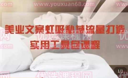 美业文案私域流量打造实用教程：学会私域流量打造和营销,学习,第1张