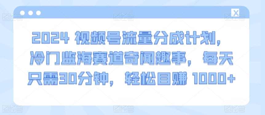 2024视频号流量分成计划，冷门监海赛道奇闻趣事，每天只需30分钟，轻松目赚 1000+【揭秘】,团队,第1张