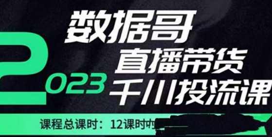 数据哥2023直播电商巨量千川付费投流实操课，快速掌握直播带货运营投放策略