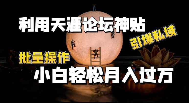利用天涯论坛神贴,引爆私域,批量操作,小白轻松月入过w【项目拆解】,论坛,第1张 利用天涯论坛神贴,引爆私域,批量操作,小白轻松月入过w【项目拆解】,论坛,第1张