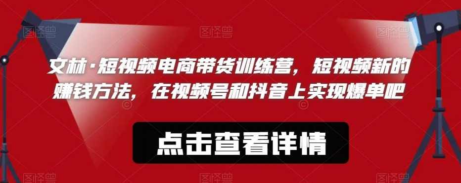文林·短视频电商带货训练营，短视频新的赚钱方法，在视频号和抖音上实现爆单吧