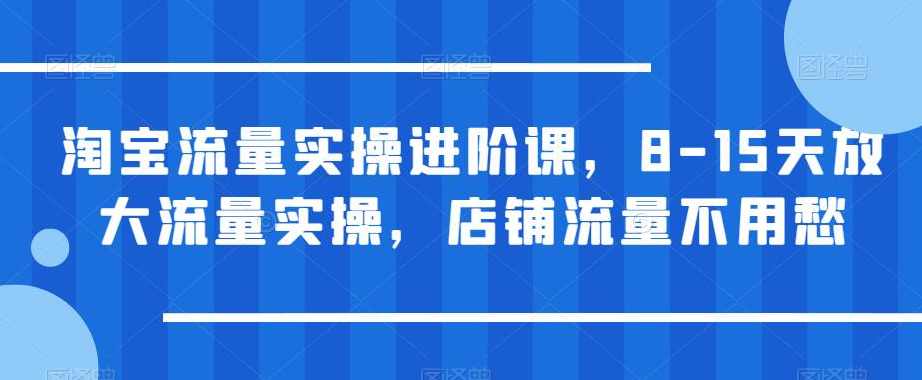 淘宝流量实操进阶课，8-15天放大流量实操，店铺流量不用愁！