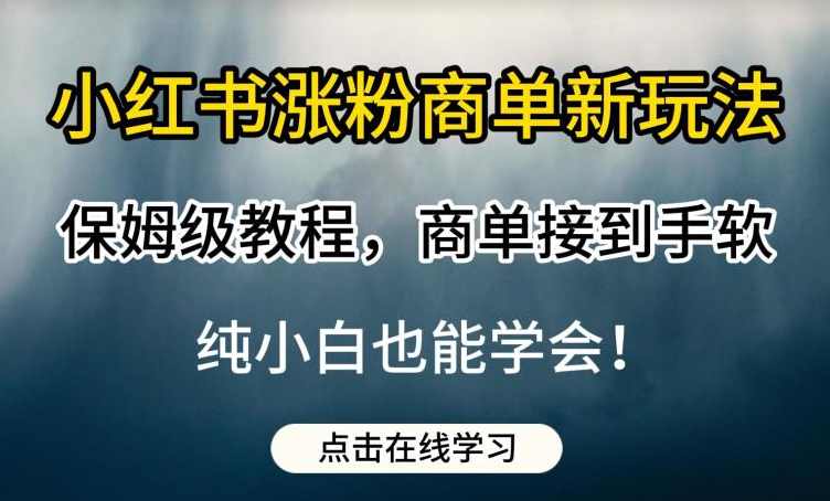 小红书涨粉商单新玩法,保姆级教程,商单接到手软,纯小白也能学会【揭秘】,课程,去水印,第1张 小红书涨粉商单新玩法,保姆级教程,商单接到手软,纯小白也能学会【揭秘】,课程,去水印,第1张