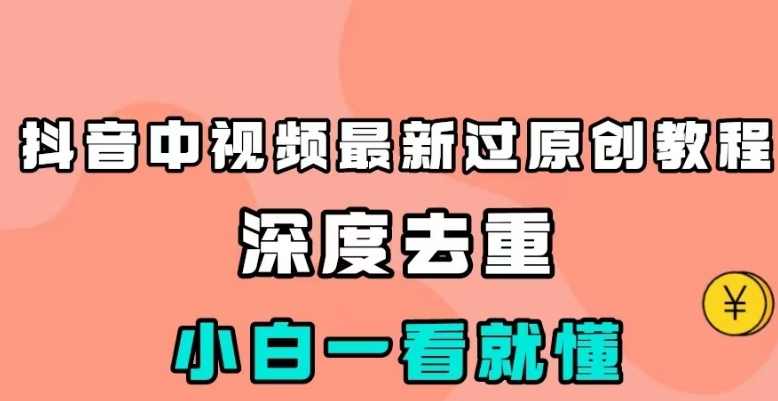 抖音中视频最新过原创教程,深度去重,小白一看就懂【揭秘】,课程,第1张 抖音中视频最新过原创教程,深度去重,小白一看就懂【揭秘】,课程,第1张