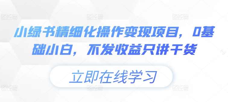 小绿书精细化操作变现项目，0基础小白，不发收益只讲干货【项目拆解】