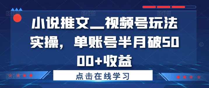 小说推文—视频号玩法实操，单账号半月破5000+收益【项目拆解】