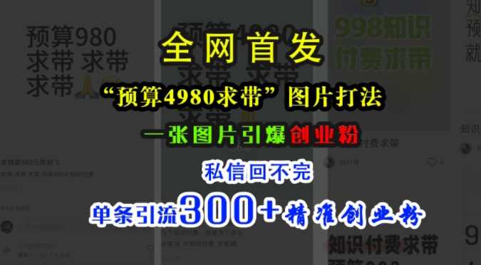 小红书“预算4980带我飞”图片打法，一张图片引爆创业粉，私信回不完，单条引流300+精准创业粉【项目拆解】