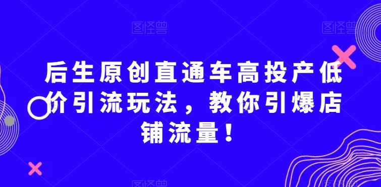 后生原创直通车高投产低价引流玩法,教你引爆店铺流量!,课程,第1张 后生原创直通车高投产低价引流玩法,教你引爆店铺流量!,课程,第1张