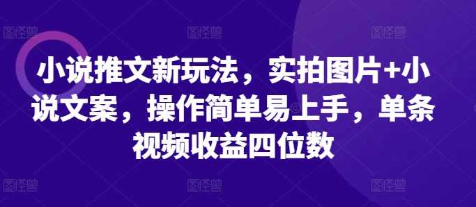 小说推文新玩法，实拍图片+小说文案，操作简单易上手，单条视频收益四位数,课程,小说,第1张