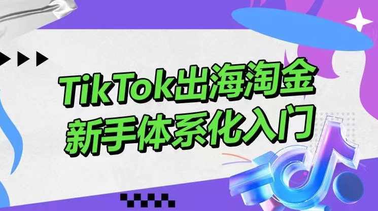大彬TikTok出海淘金，新手体系化入门，零基础快速入门，掌握短视频、直播带货等引流到变现的知识
