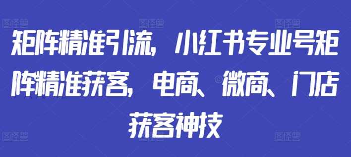 矩阵精准引流,小红书专业号矩阵精准获客,电商、微商、门店获客神技,课程,专业,定位,团队,电商,第1张 矩阵精准引流,小红书专业号矩阵精准获客,电商、微商、门店获客神技,课程,专业,定位,团队,电商,第1张