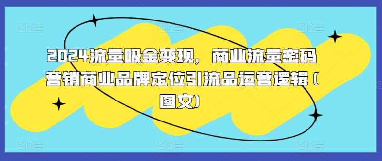 2024流量吸金变现，商业流量密码营销商业品牌定位引流品运营逻辑(图文),定位,第1张