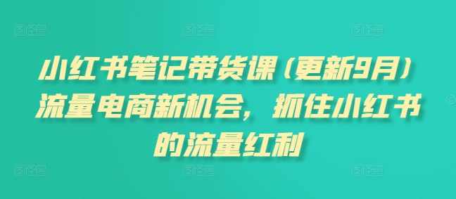 小红书笔记带货课(更新10月)流量电商新机会，抓住小红书的流量红利
