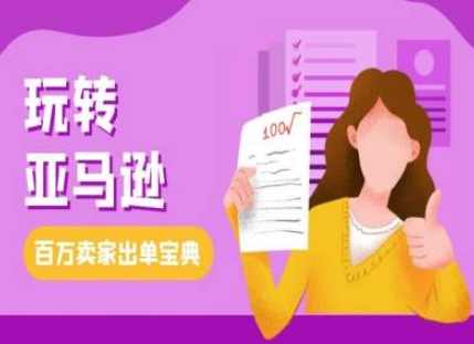 丹姐教你玩转亚马逊，跨境电商亚马逊教程，百万卖家出单宝典