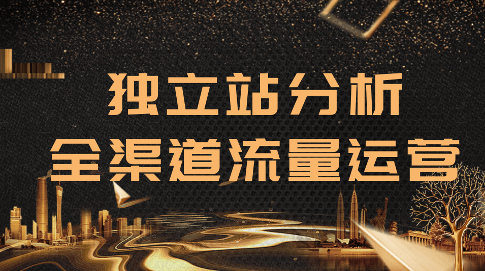 2020跨境电商未来出路，独立站精细化流量运营，手把手教你分析一个网站