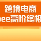 2020跨境电商蓝海新机会-SHOPEE大卖特训营:高阶终极课程(16节课),课程,直播,团队,电商,电子商务,第1张 2020跨境电商蓝海新机会-SHOPEE大卖特训营:高阶终极课程(16节课),课程,直播,团队,电商,电子商务,第1张