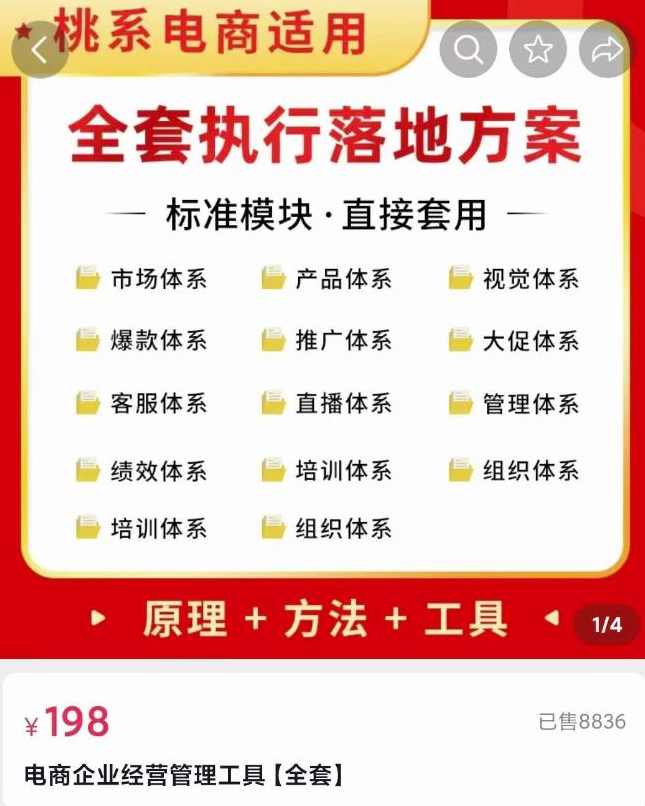 外面卖198·电商企业经营管理工具：全套执行落地方案标准模块·直接套用