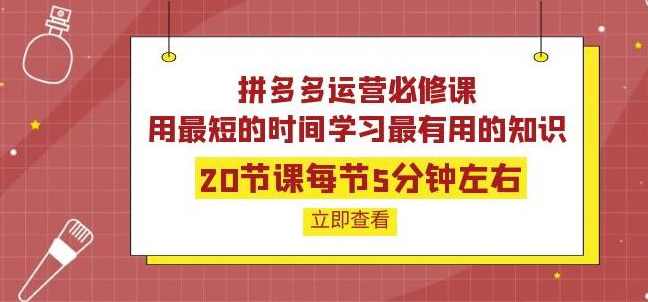 拼多多运营必修课：20节课每节5分钟左右，用最短的时间学习最有用的知识