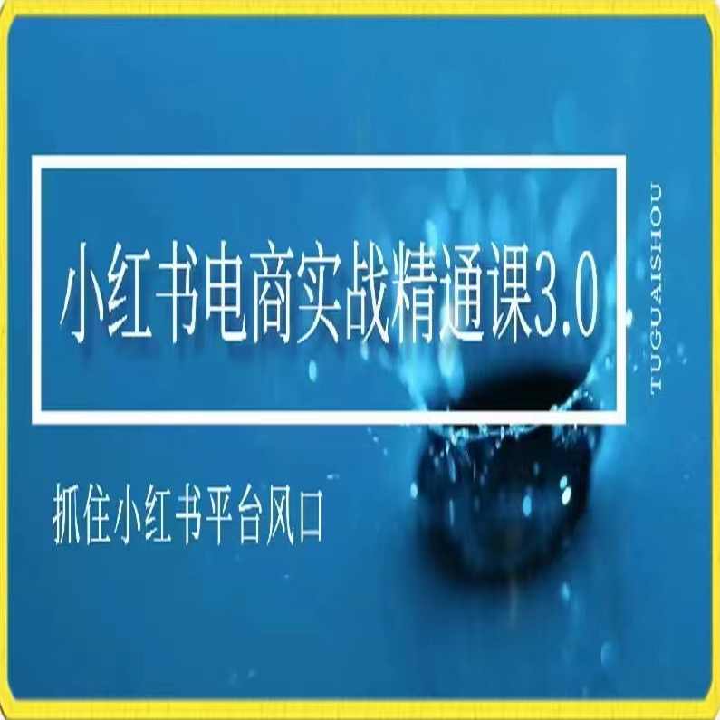 小红书电商实战精通课3.0，抓住小红书平台的风口，不错过有一个赚钱的机会