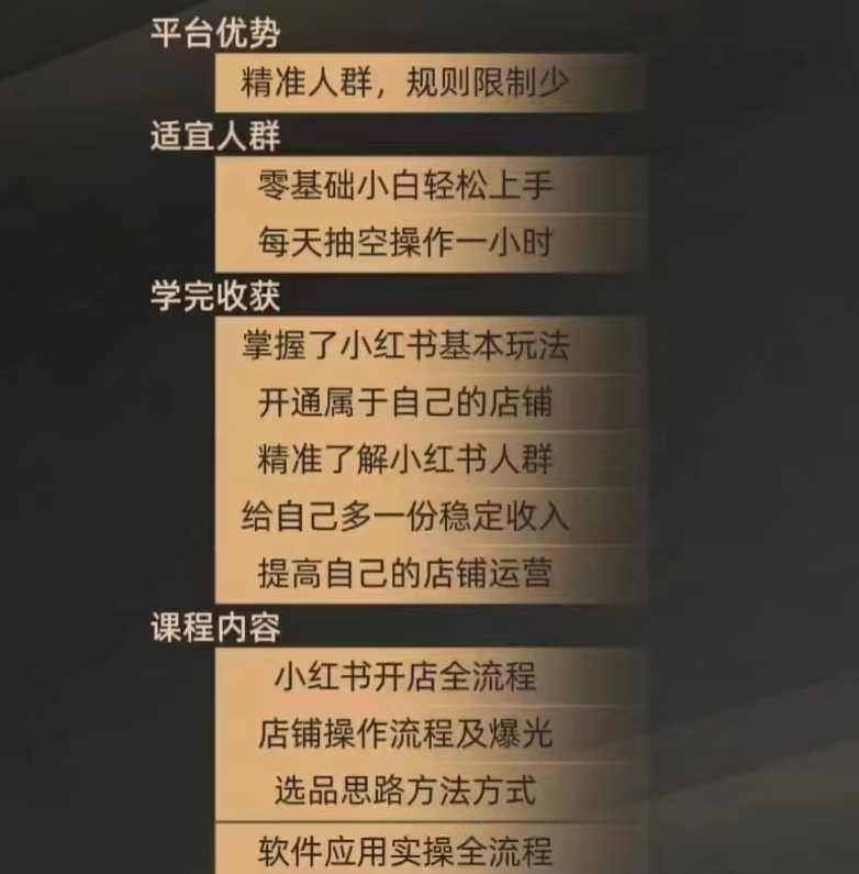 小红书电商实战精通课3.0，抓住小红书平台的风口，不错过有一个赚钱的机会,课程,学习,电商,第2张