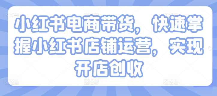 小红书电商带货，快速掌握小红书店铺运营，实现开店创收