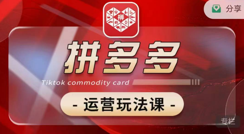 老陶电商拼多多运营玩法课高阶运营【2月更新】，极致群爆款玩法，轻付费无尽复制等