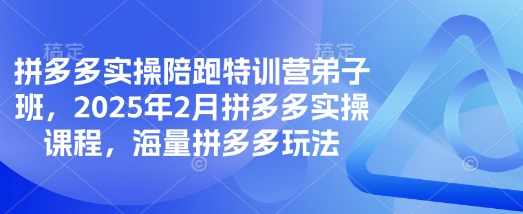 拼多多实操陪跑特训营弟子班，2025年2月拼多多实操课程，海量拼多多玩法
