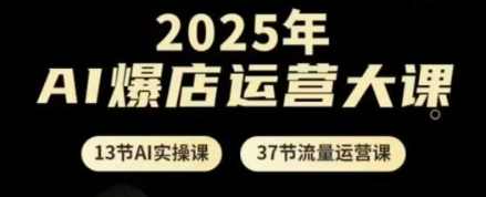 百川老师2025年AI爆店运营大课,13节AI实操课+37节流量运营课,课程,直播,定位,攻略,视频制作,第1张 百川老师2025年AI爆店运营大课,13节AI实操课+37节流量运营课,课程,直播,定位,攻略,视频制作,第1张