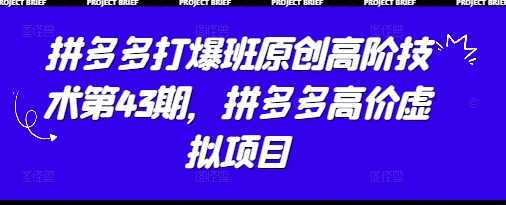 叮当会拼多多打爆班原创高阶技术第43期,拼多多高价虚拟项目,课程,第1张 叮当会拼多多打爆班原创高阶技术第43期,拼多多高价虚拟项目,课程,第1张