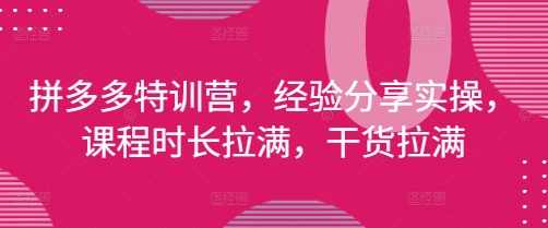 拼多多特训营，经验分享实操，课程时长拉满，干货拉满(更新25年4月),课程,定位,攻略,第1张