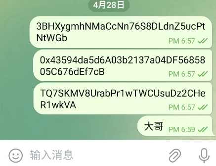 2025款高仿新版假飞机假TG源码/以及搭建教程