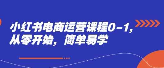 小红书电商运营课程0-1，从零开始，简单易学,课程,直播,电商,去水印,电商运营,第1张