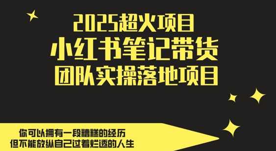 2025超火项目，小红书笔记带货团队实操落地项目，轻松日入5张,直播,专业,定位,团队,第1张