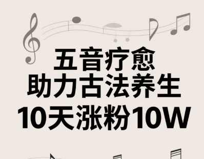 古法五音养生教程,五音疗愈的视频的制作方法,2-4小时就能学会,作者10天涨粉10W【揭秘】,课程,养生,第1张 古法五音养生教程,五音疗愈的视频的制作方法,2-4小时就能学会,作者10天涨粉10W【揭秘】,课程,养生,第1张